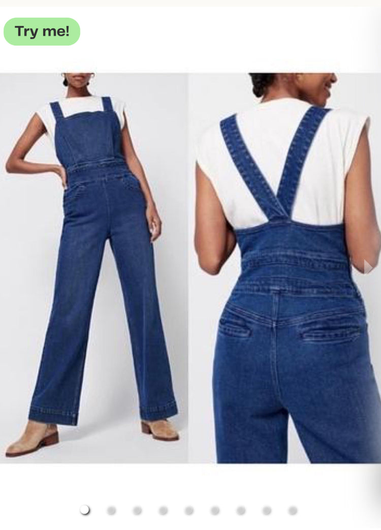 NWT FAHERTY INDIGO WASHED BIBS (org$178)