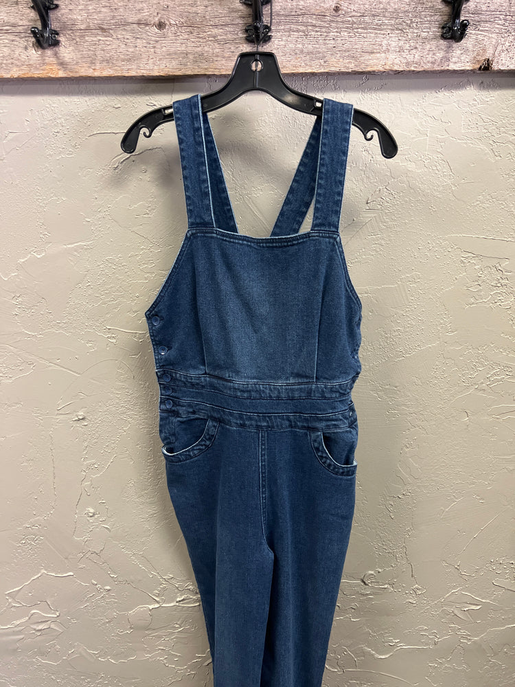 NWT FAHERTY INDIGO WASHED BIBS (org$178)