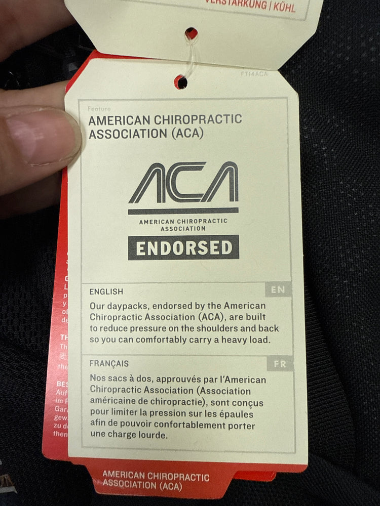 NWT THE NORTHFACE BACKPACK (org$68)