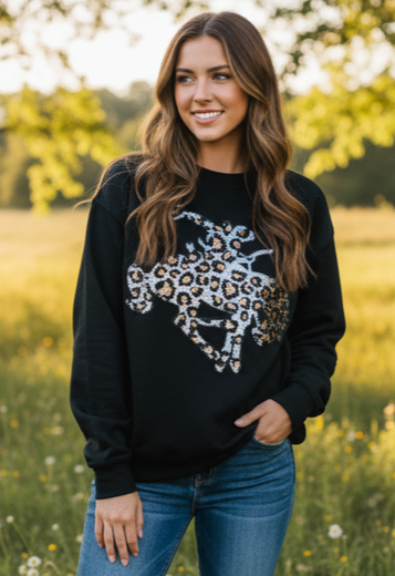 NWT SEQUIN BRONCO PULLOVER(org$55)