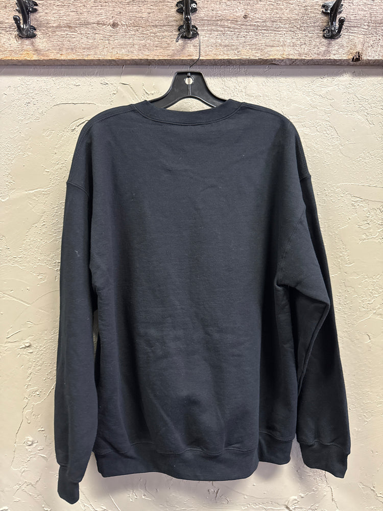 NWT SEQUIN BRONCO PULLOVER(org$55)