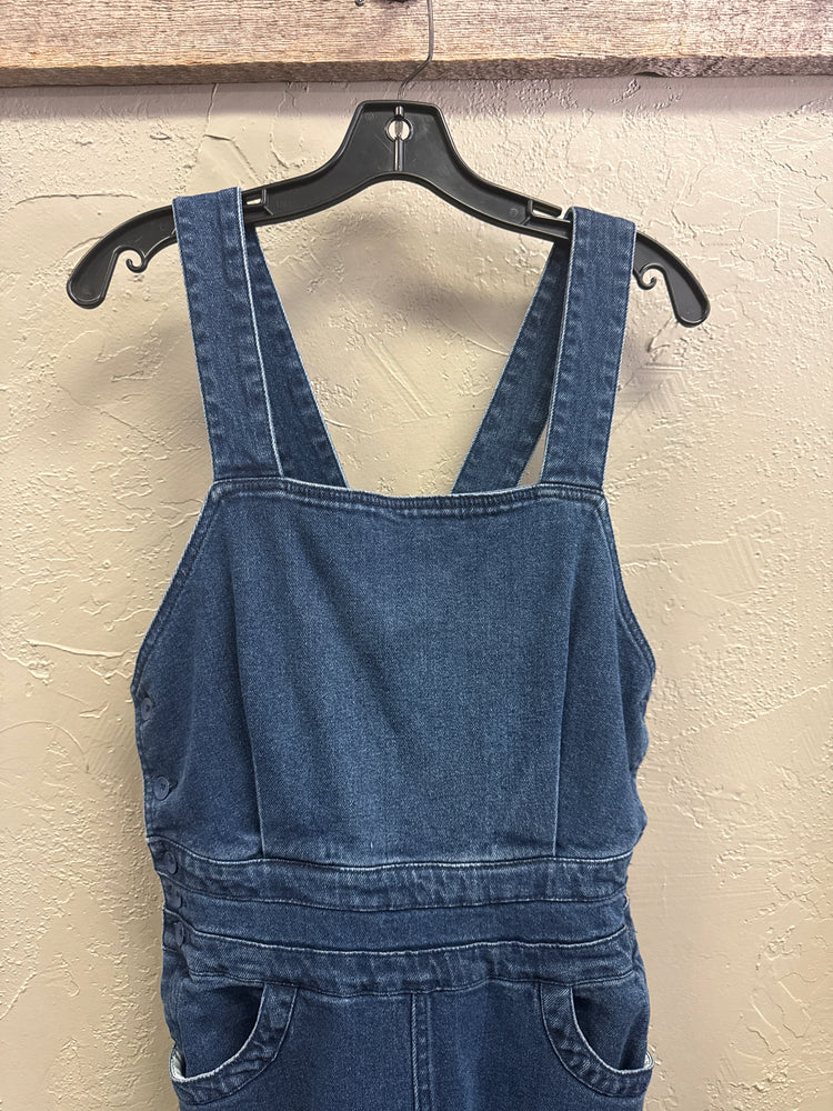 NWT FAHERTY INDIGO WASHED BIBS (org$178)