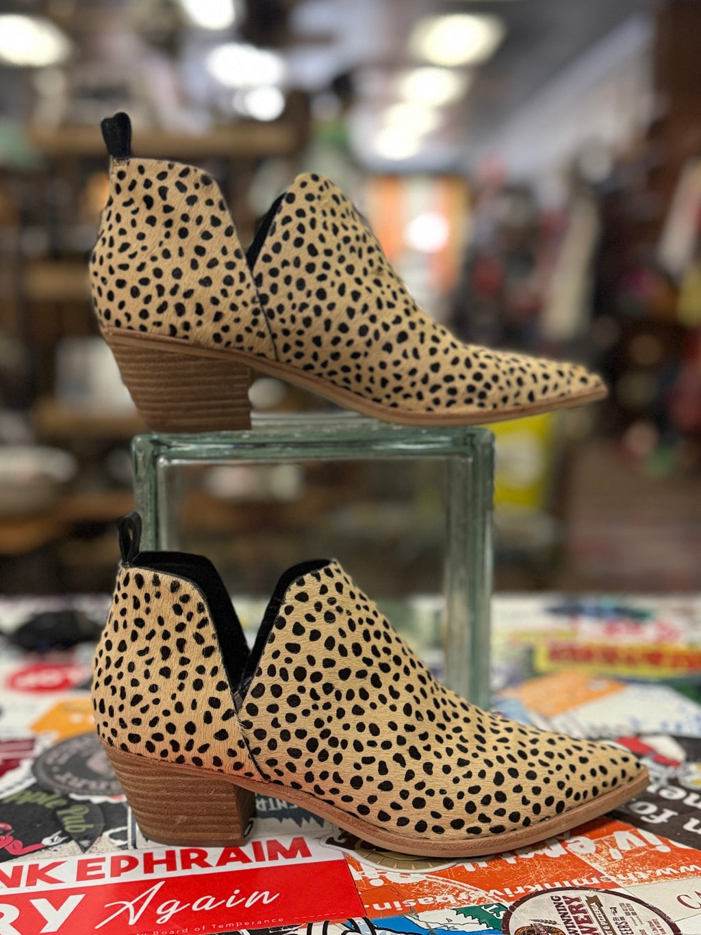 DOLCE VITA SONNI BOOTIE (org$150)