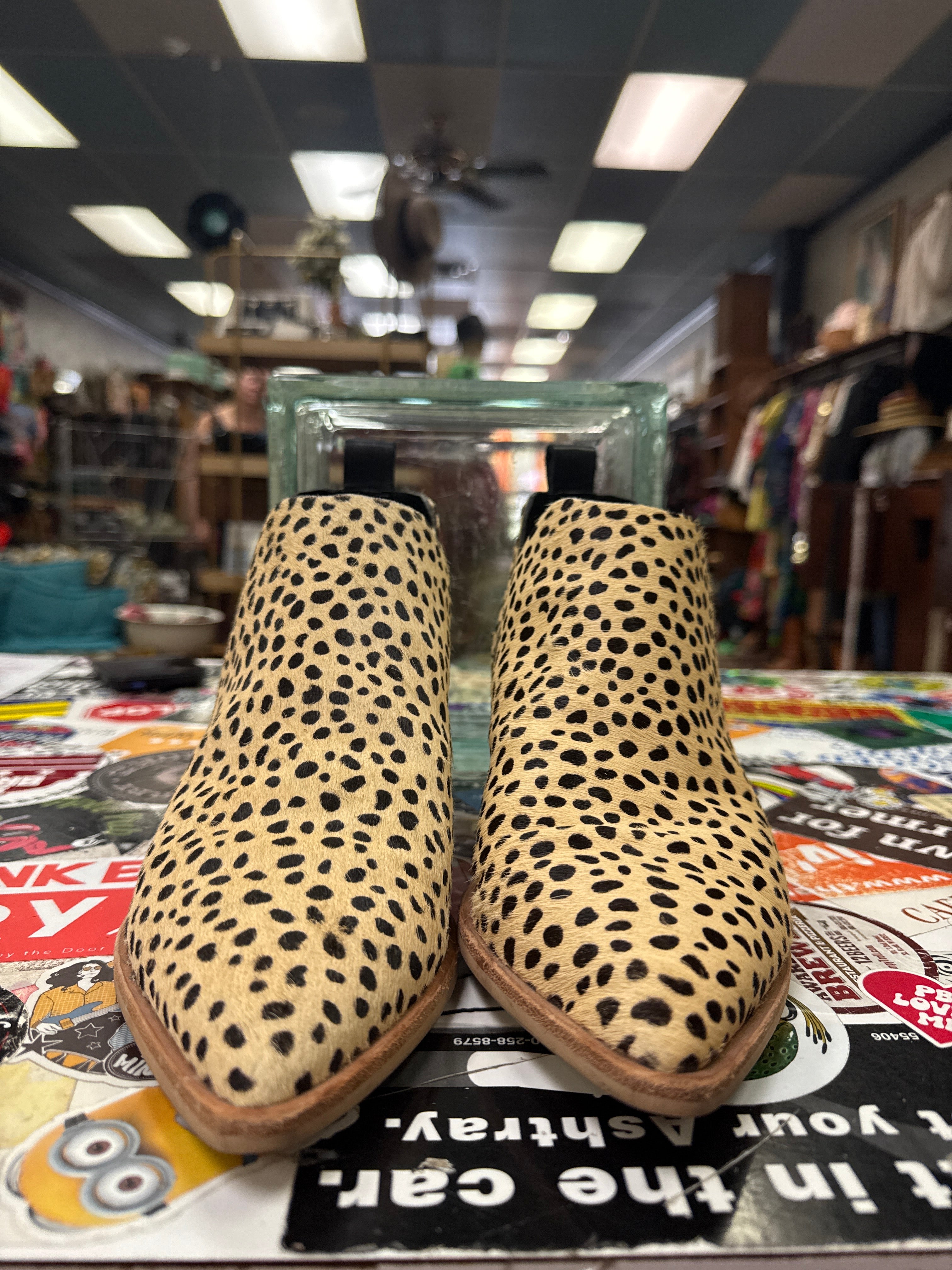 DOLCE VITA SONNI BOOTIE (org$150)