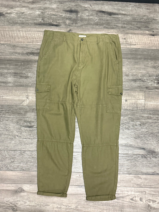 DEX CARGO PANT