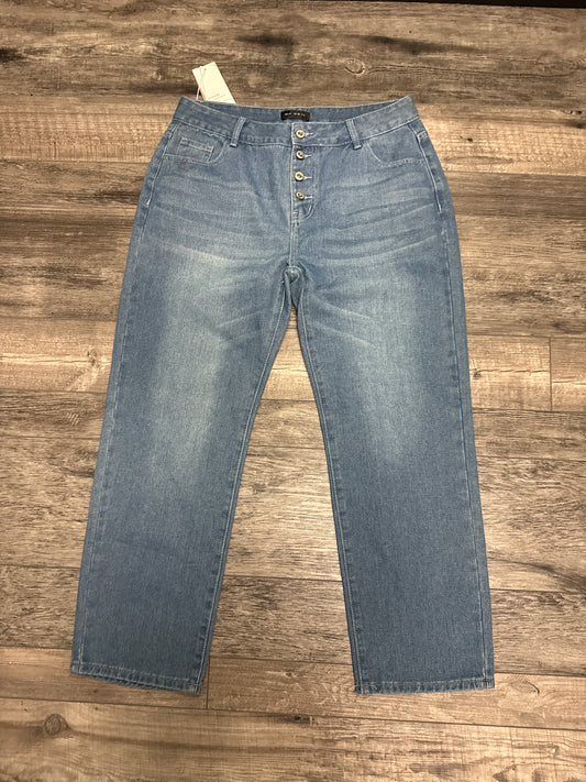 NWT TENDENCY BUTTON FLY JEANS