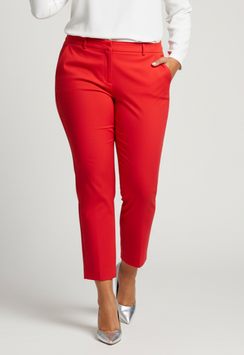 NWT J CREW WINNIE PANT