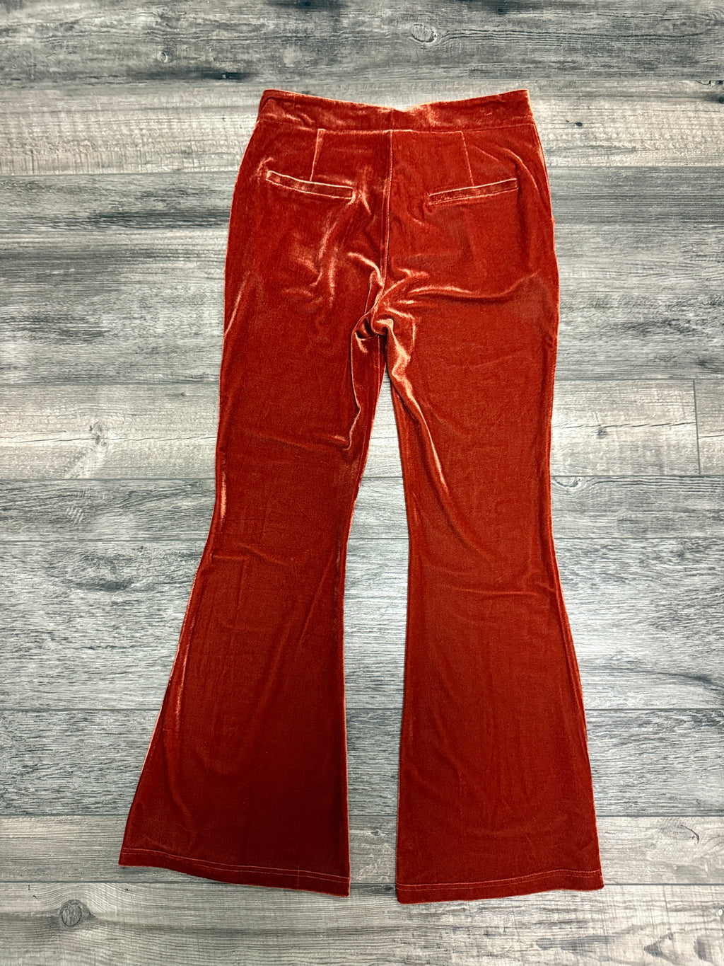 NWT Mystree Velvet Flare Pant