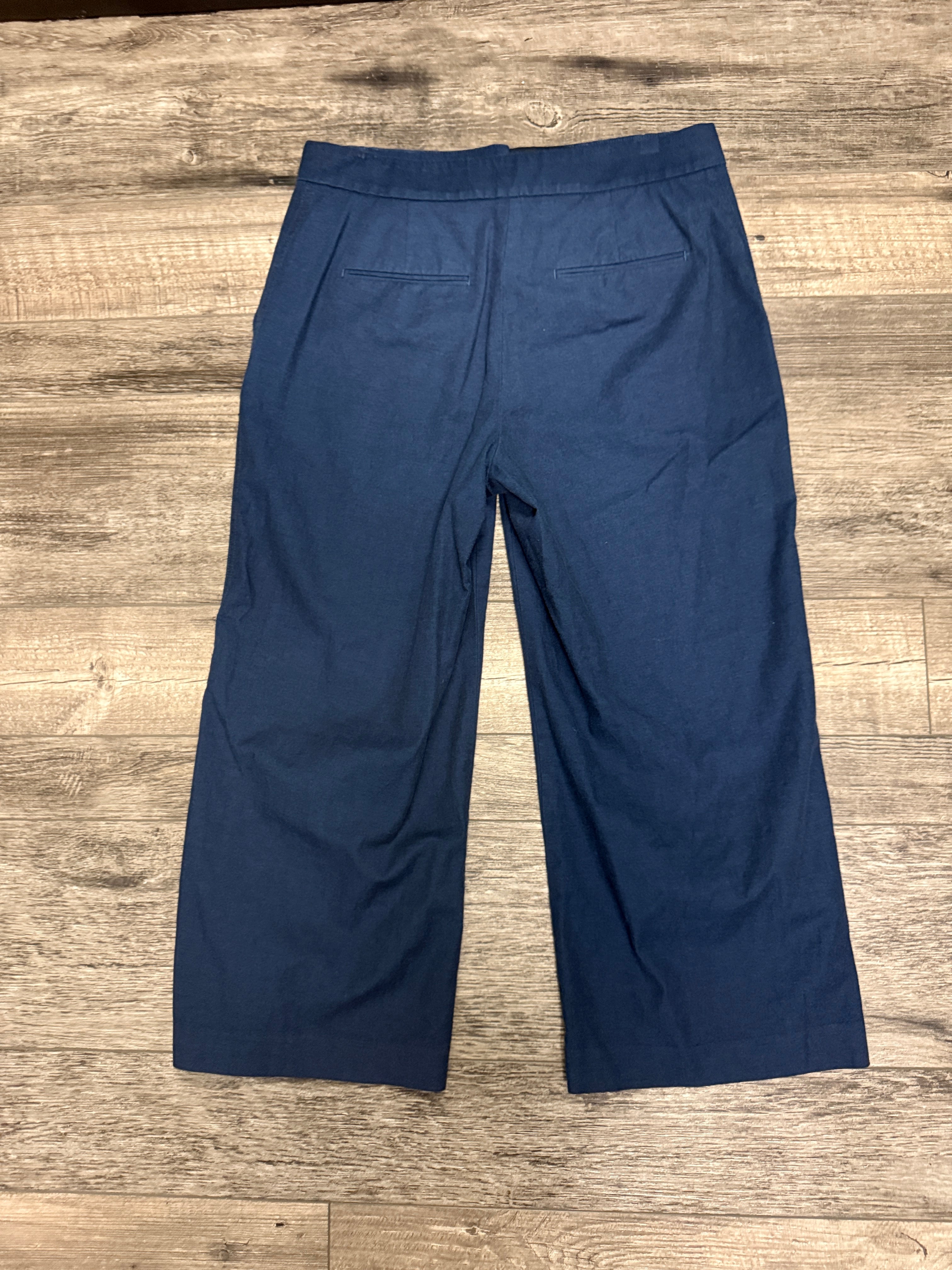 ANN TAYLOR WIDE LEG CROP (org$109)