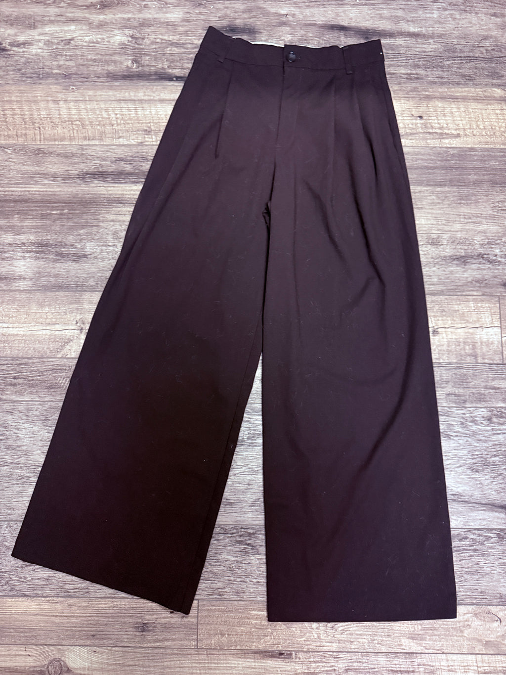ZARA PLEATED WIDE LEG PANT