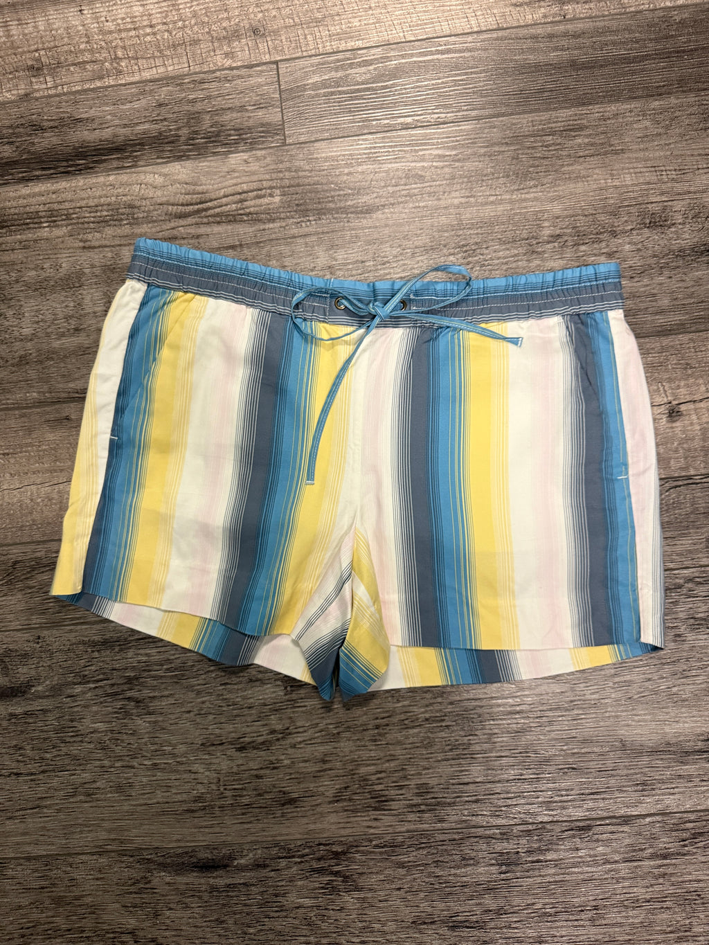 NWT Loft Drawstring Shorts (org$50)