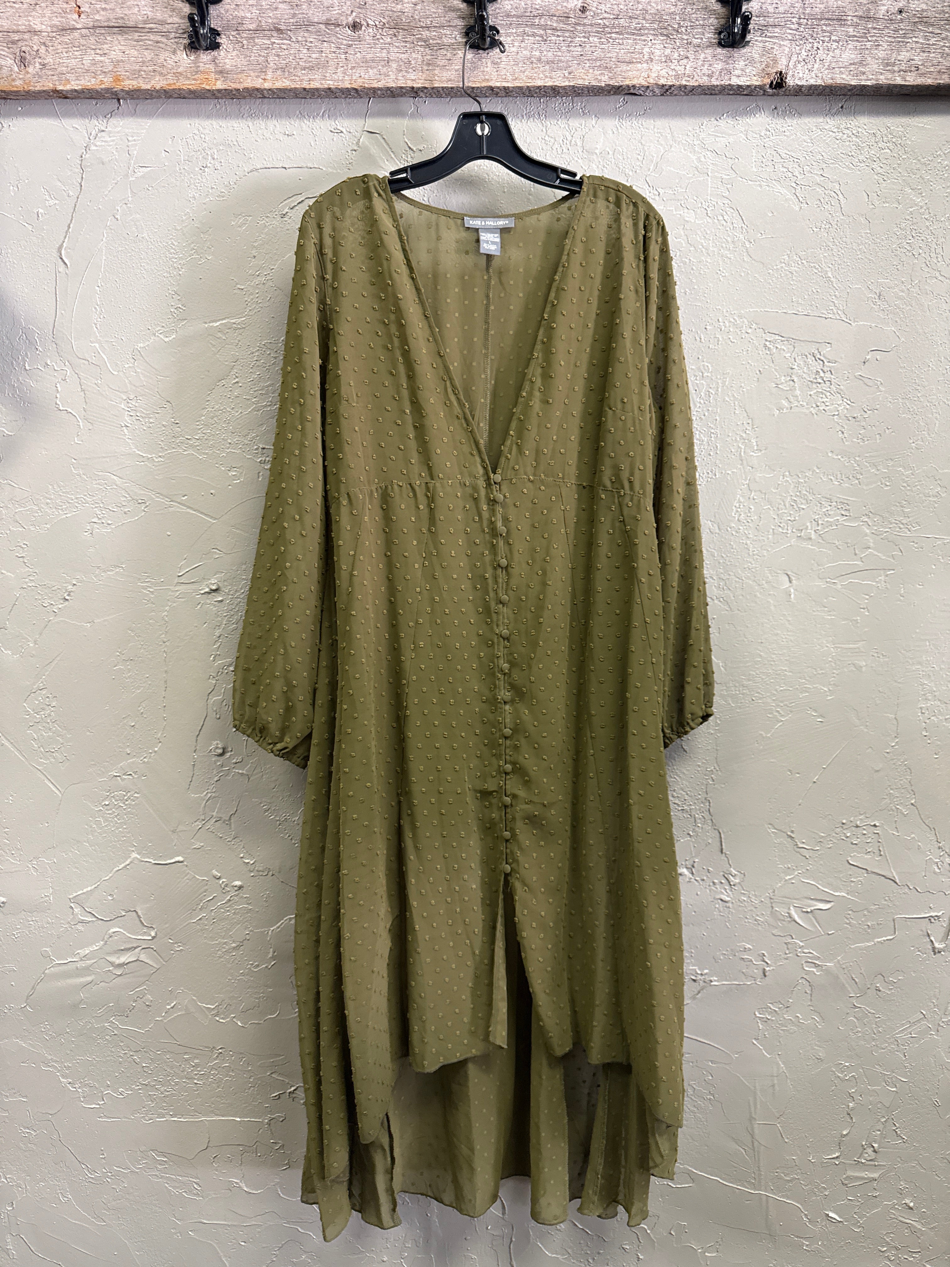 NWOT Kate & Mallory Swiss Dot Sheer Dress