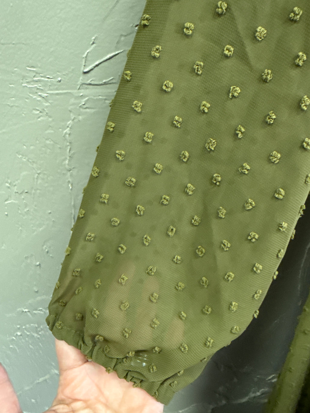 NWOT Kate & Mallory Swiss Dot Sheer Dress