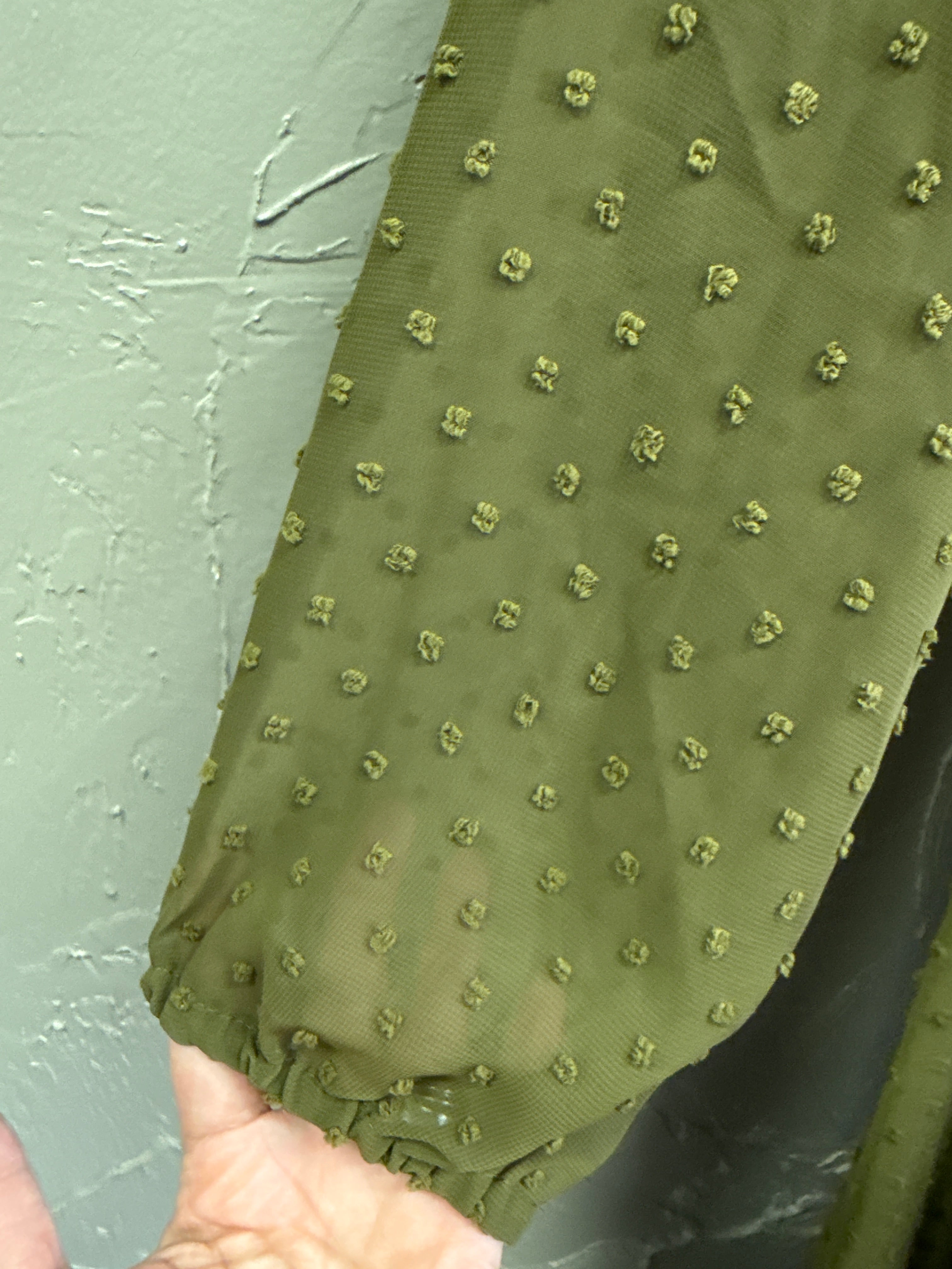 NWOT Kate & Mallory Swiss Dot Sheer Dress