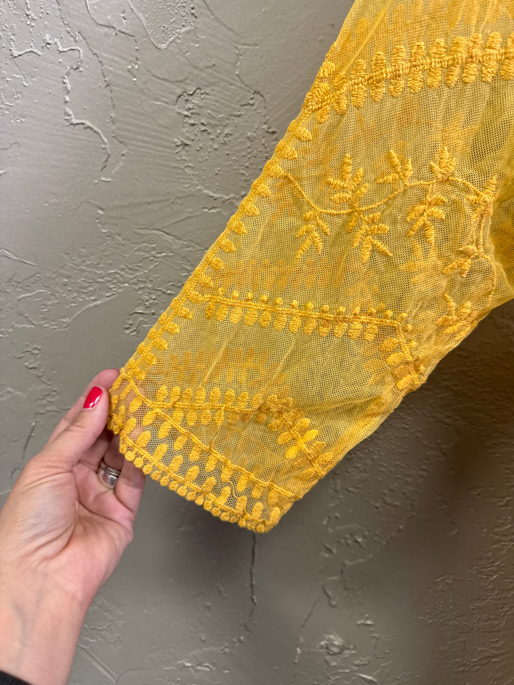 NWT Lane Bryant Emroidered Mesh Overpiece (org$60)