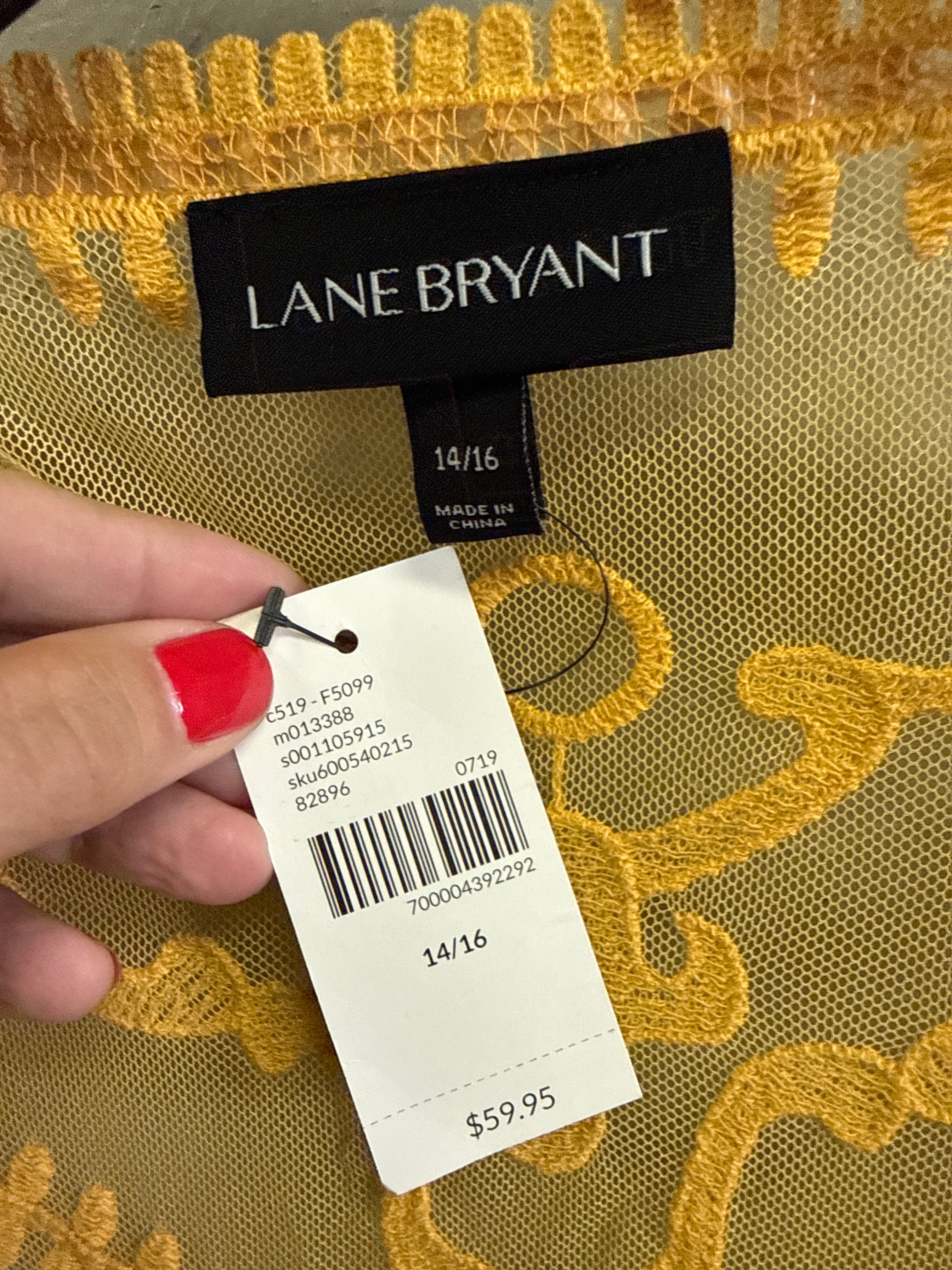 NWT Lane Bryant Emroidered Mesh Overpiece (org$60)