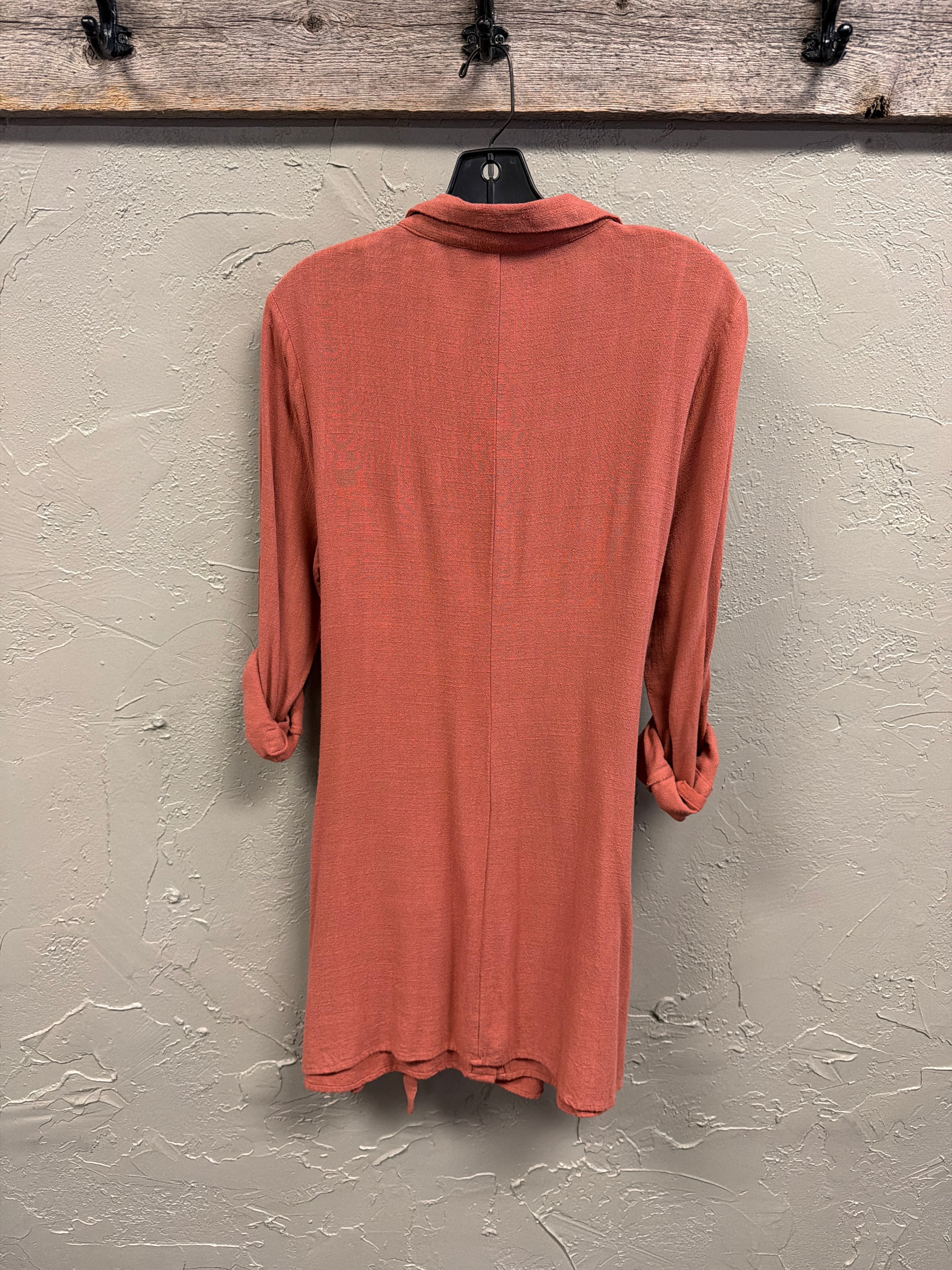 Walter Baker Shirt Dress (org$248)