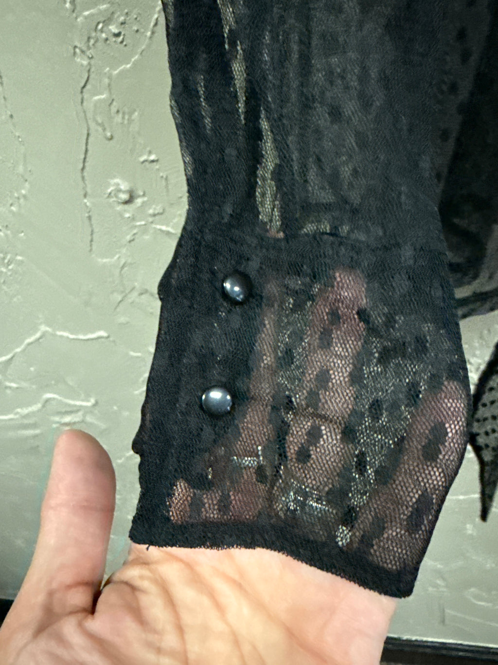 NWT Lane Bryant Sheer Mesh Blouse (org$50)