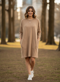 Easel Sweatshirt Dress (org$58)