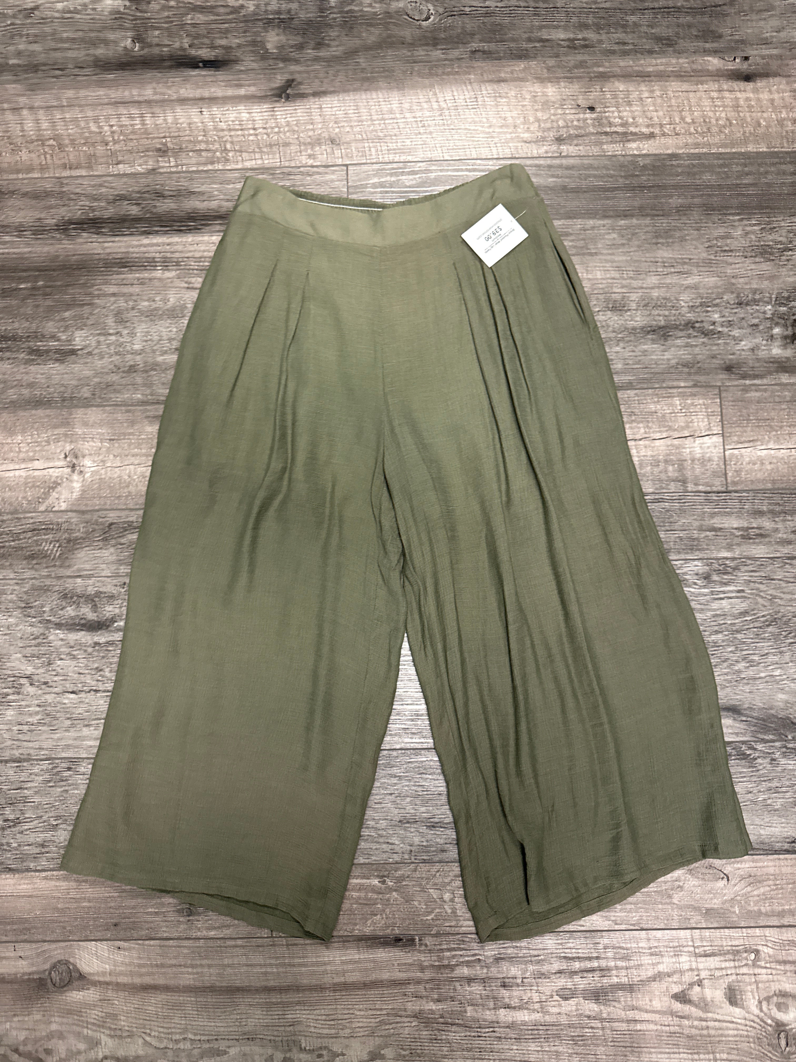 NWT ee:some Pleated Wide-Leg Pant