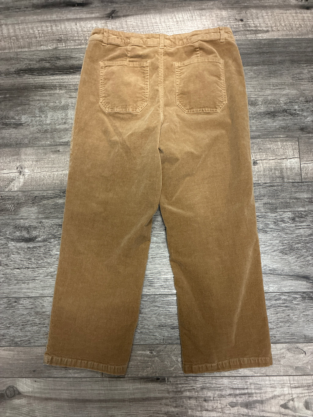 Jones & Co Corduroy Pants (org$90)
