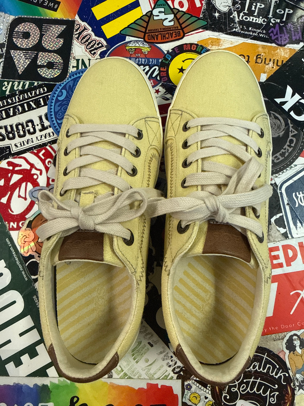 Taos Star Burst Sneaker (org$100)