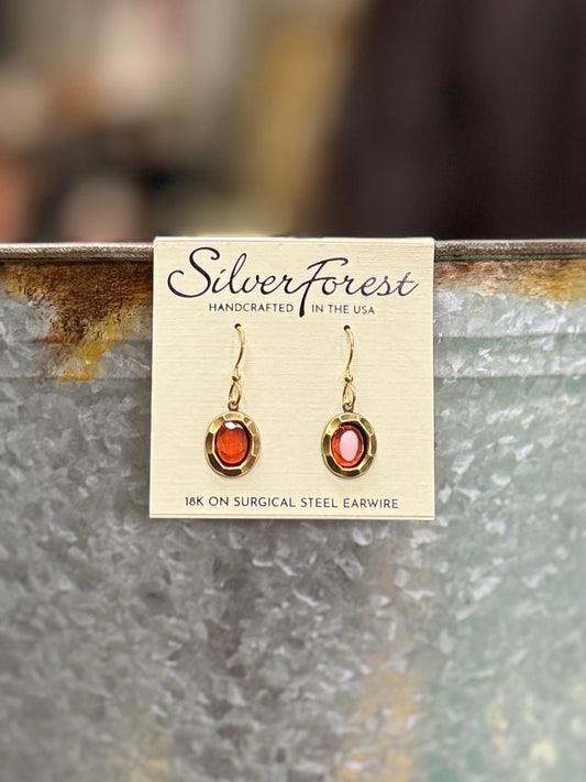NWT ORANGE STONE EARRINGS