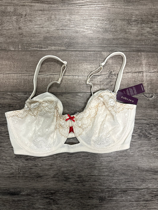 NEW BRAS