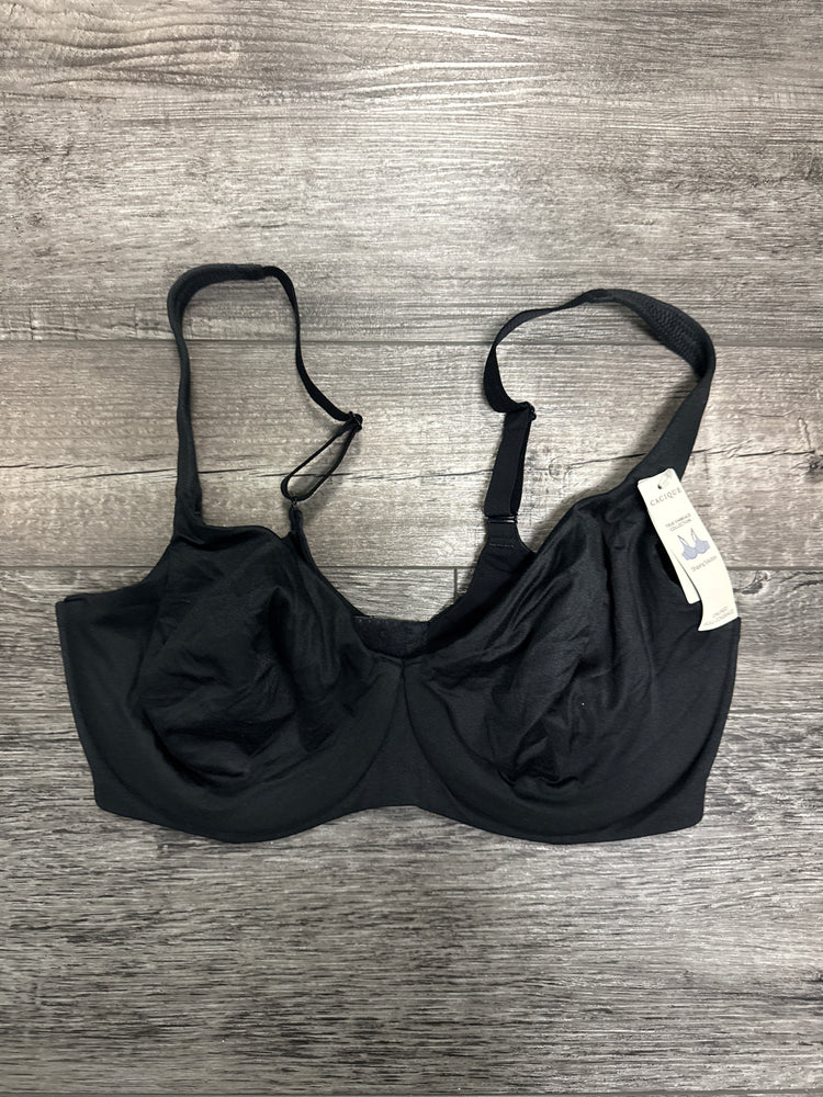 NEW BRAS